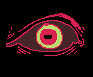 eye