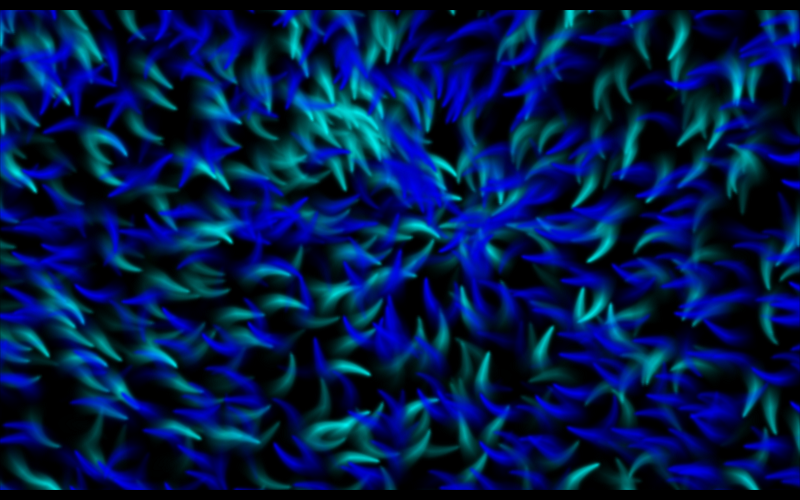 sos 2013-01-08 02-31-44-33 - Copy