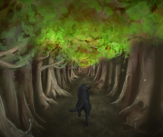 emilysforest
