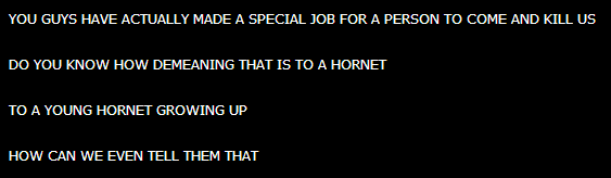 thehornetswouldliketotalk